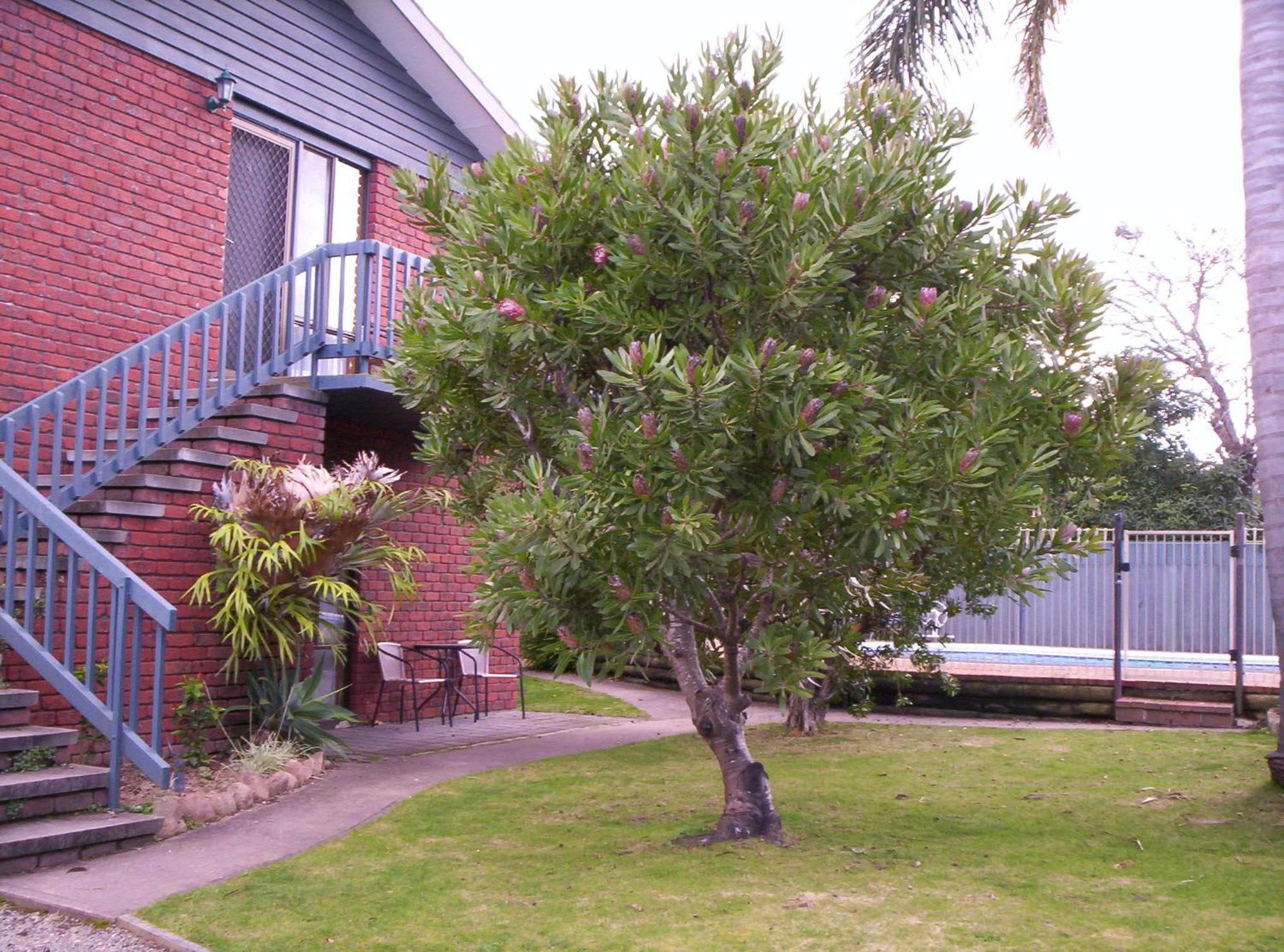 Harbour Lights Holiday Units Merimbula Ngoại thất bức ảnh
